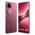 Vivo V50 5G (Rose Red, 8GB RAM, 256GB Storage)